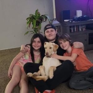 Meet your Posher, Jamie